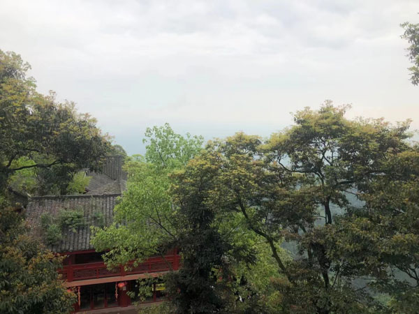 外國人涉嫌重婚如何處理？上海離婚律師事務所為您解答