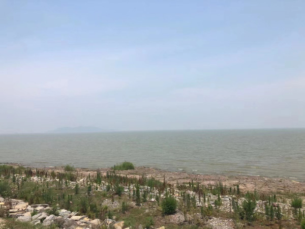 股東對公司的分紅不滿意如何解決？上海公司股權律師為您解答
