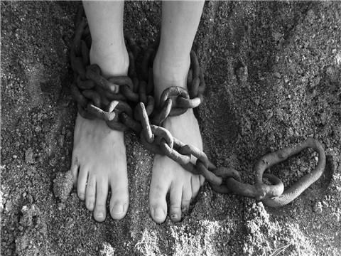 在上海找一個便宜點的懂刑事法律的律師